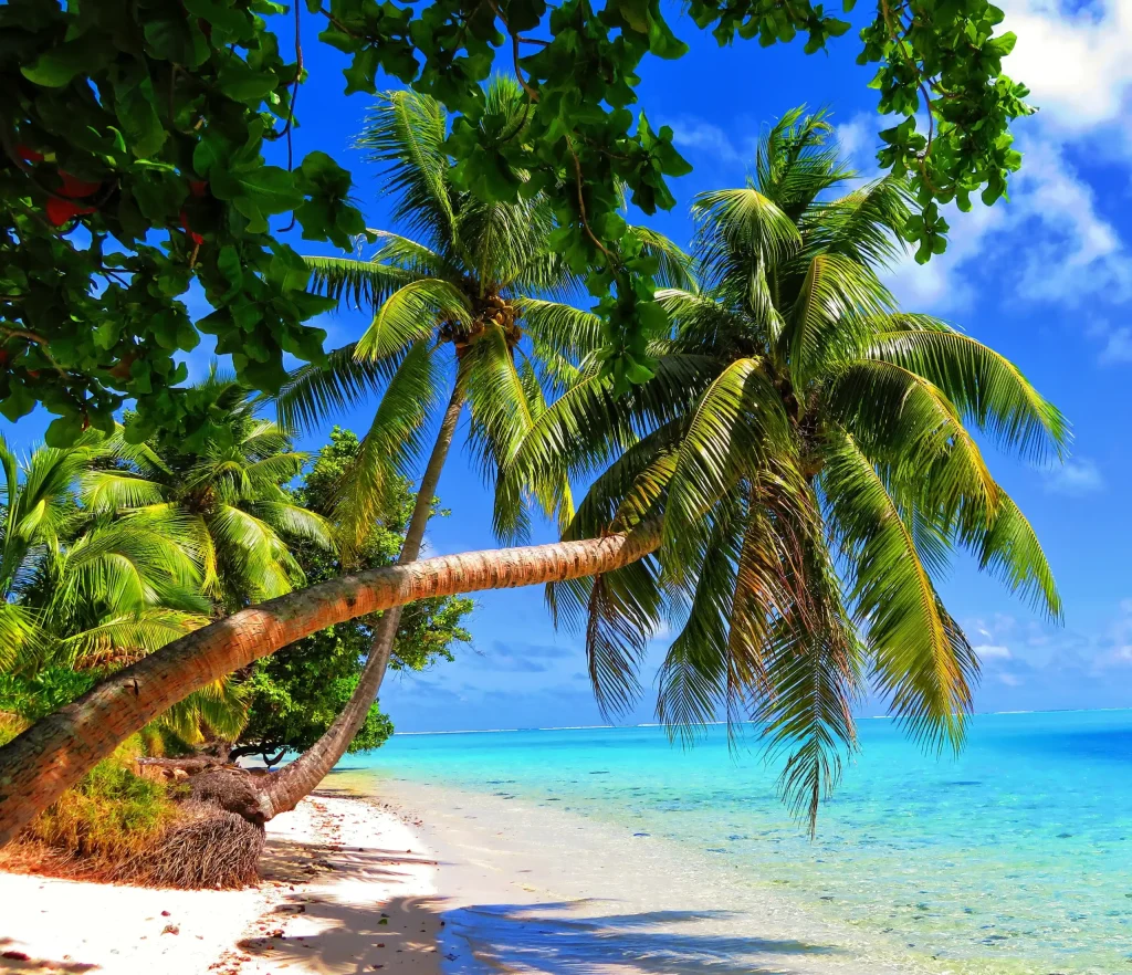 Exploring magical island of Tahiti